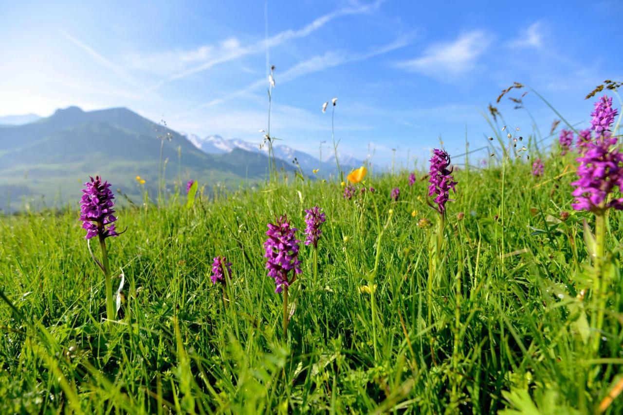 Hotel Alpen Roc La Clusaz Ngoại thất bức ảnh